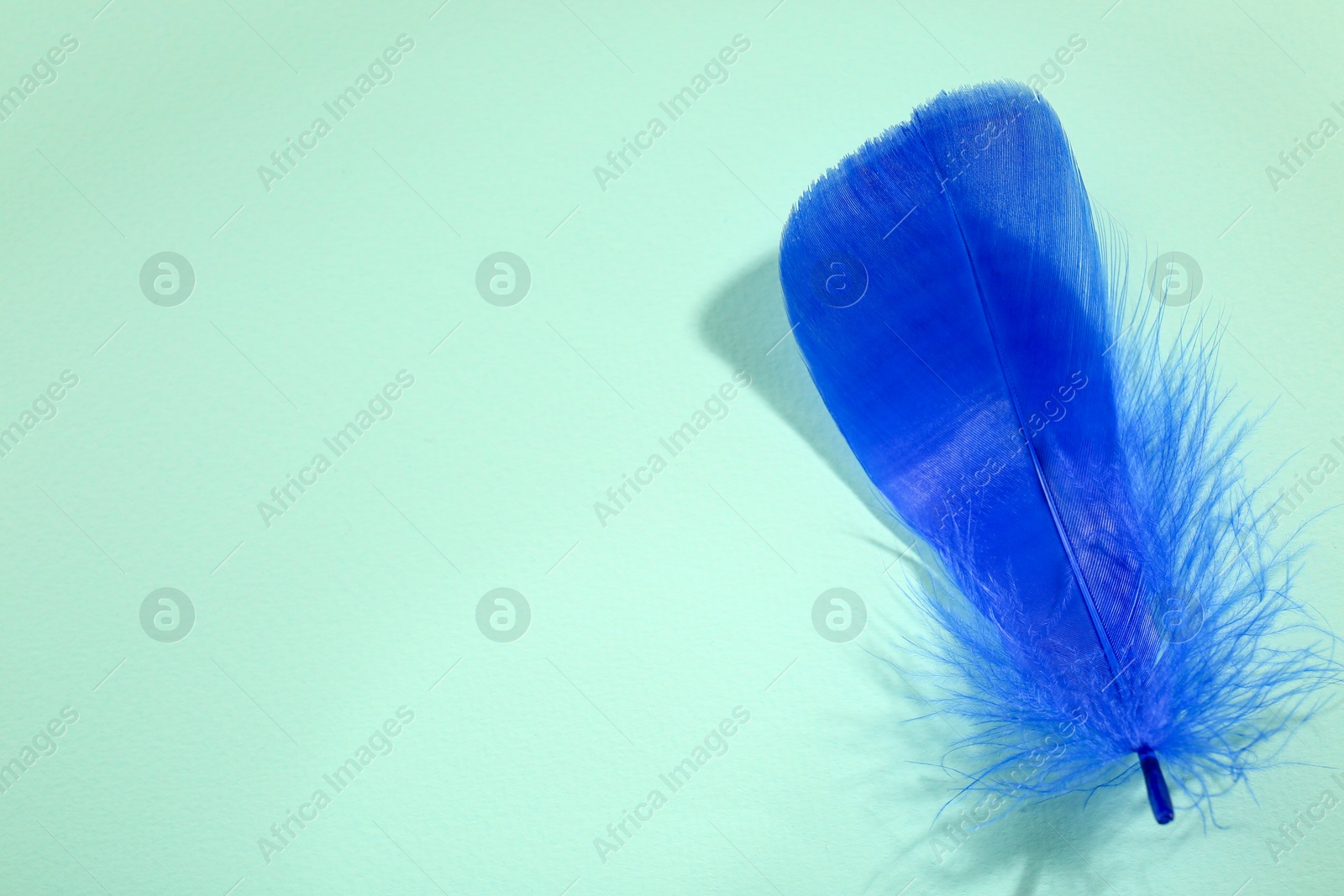 Photo of One fluffy blue feather on light background, top view. Space for text