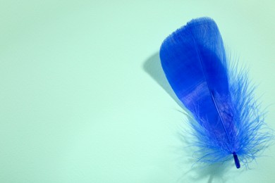 Photo of One fluffy blue feather on light background, top view. Space for text