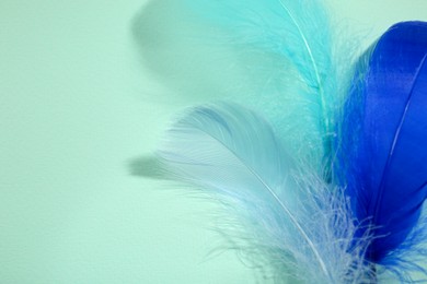 Photo of Beautiful fluffy feathers on light background, top view. Space for text