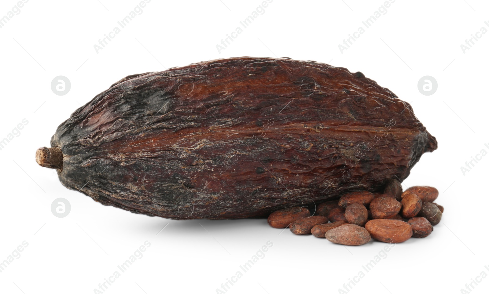 Photo of Cocoa pod and beans isolated on white