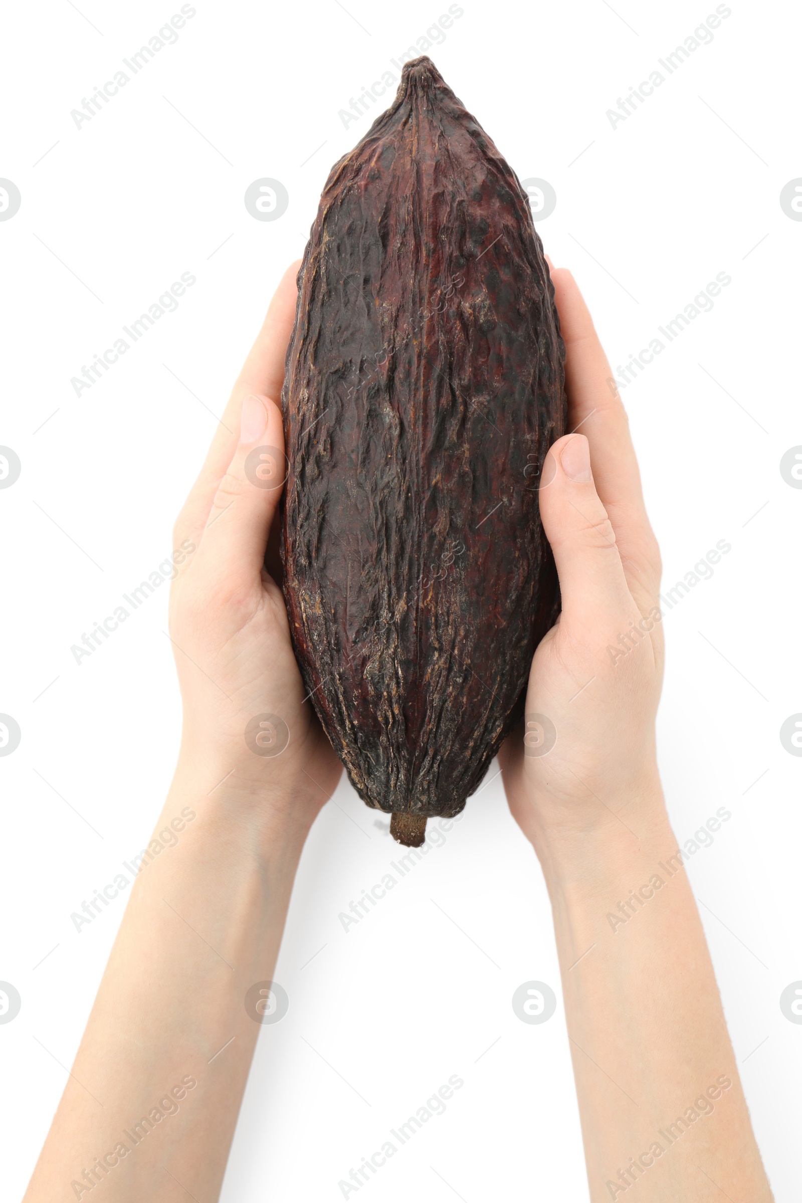 Photo of Woman with cocoa pod on white background, top view