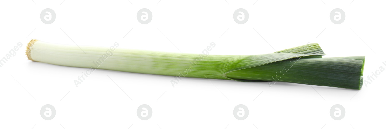 Photo of One fresh leek isolated on white. Spicy vegetable