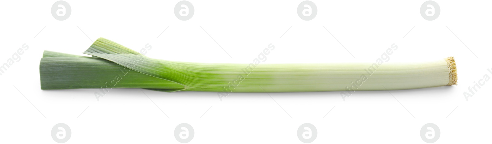 Photo of One fresh leek isolated on white. Spicy vegetable