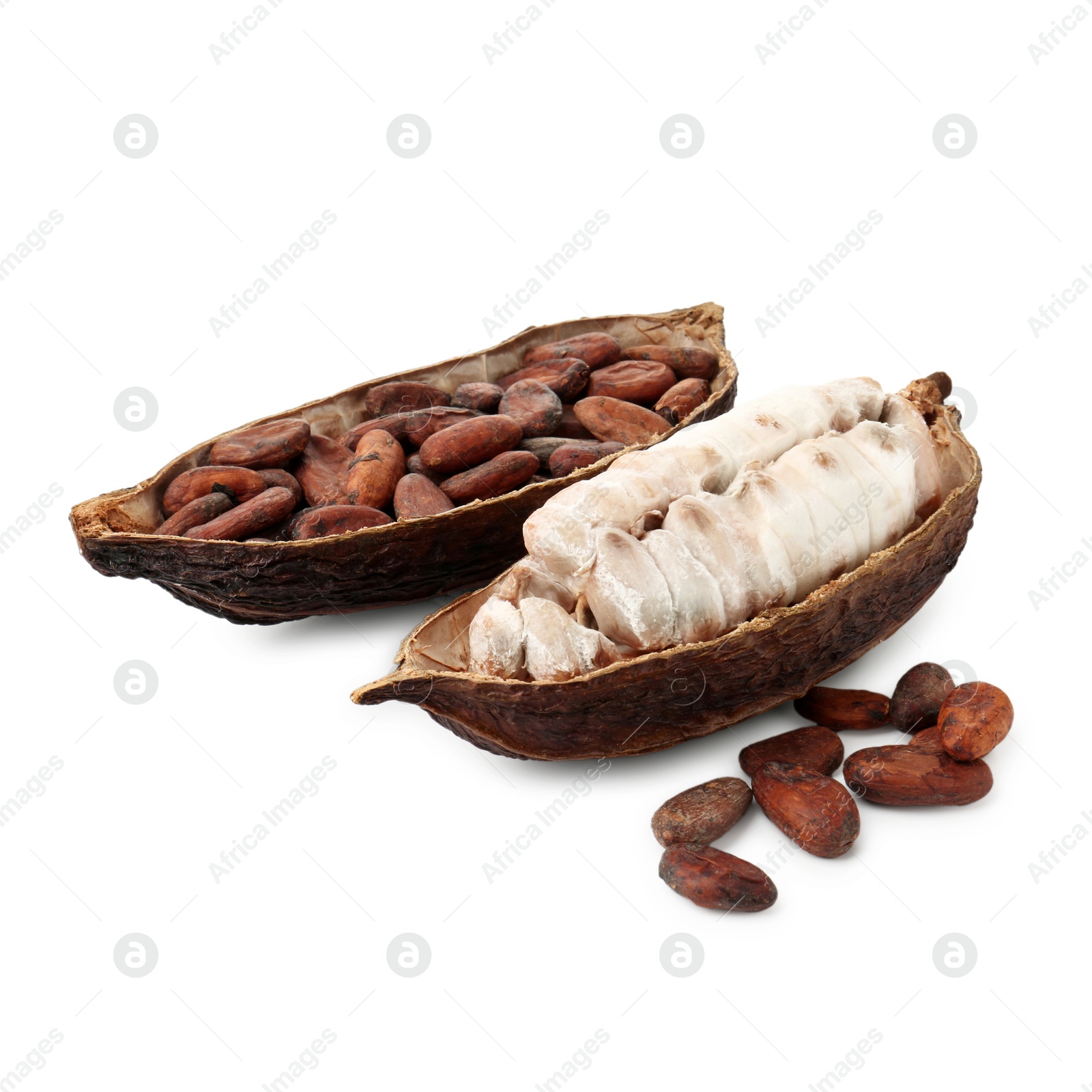 Photo of Cocoa pods with beans isolated on white