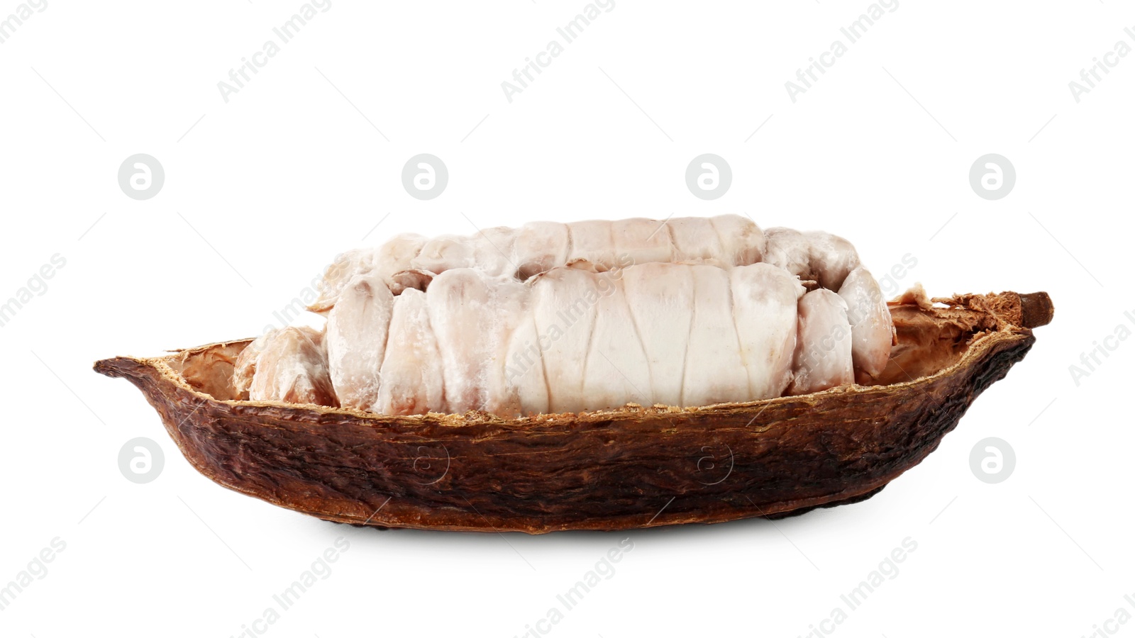 Photo of Cocoa pod with beans isolated on white