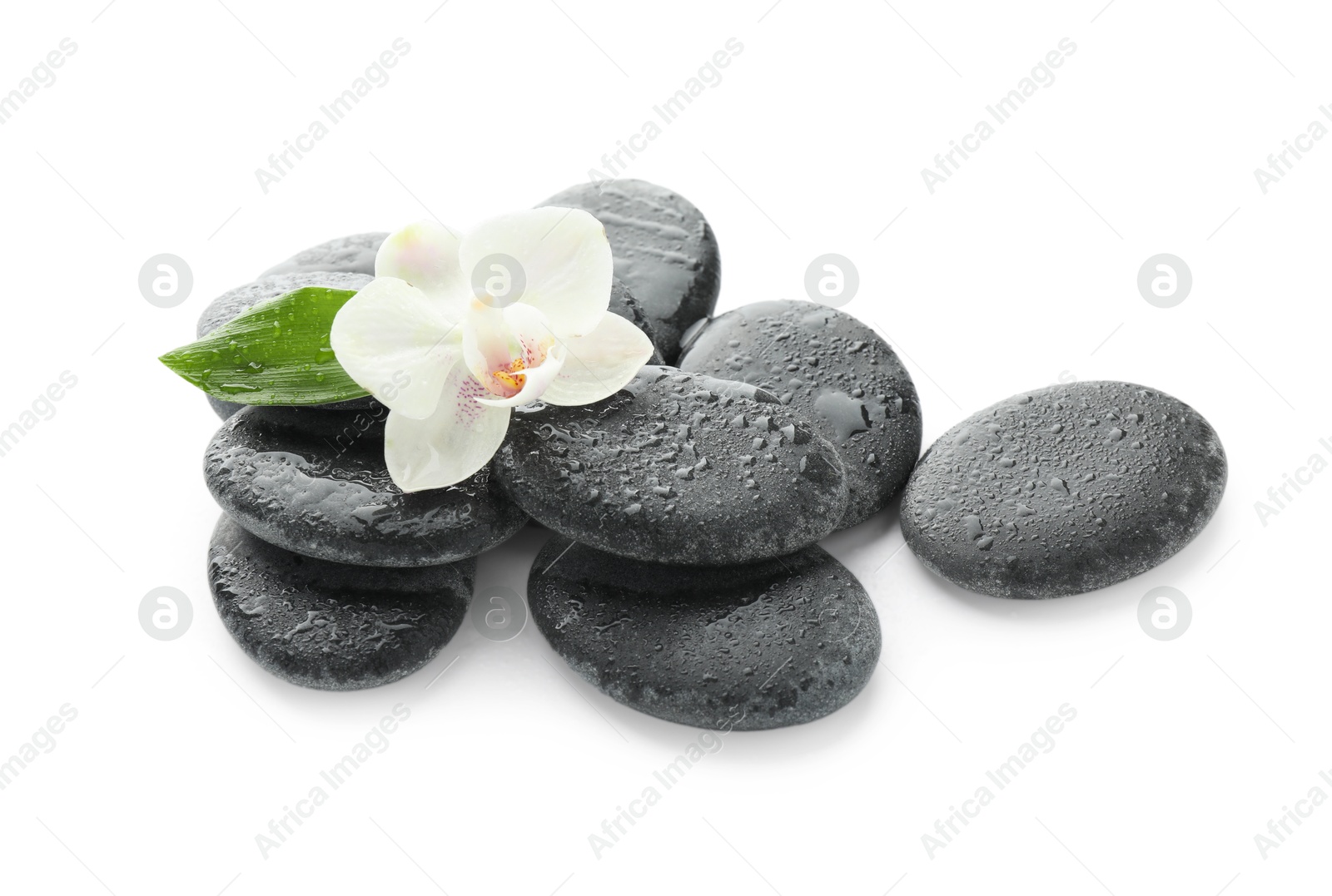 Photo of Wet spa stones with flower and leaf isolated on white