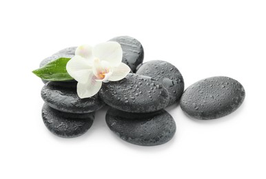 Photo of Wet spa stones with flower and leaf isolated on white