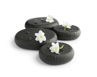 Photo of Wet spa stones and beautiful flowers isolated on white