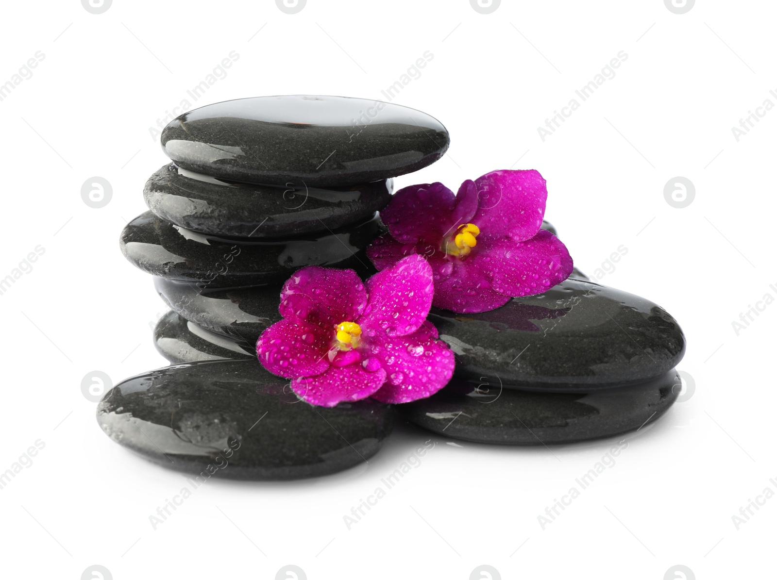 Photo of Wet spa stones and beautiful flowers isolated on white