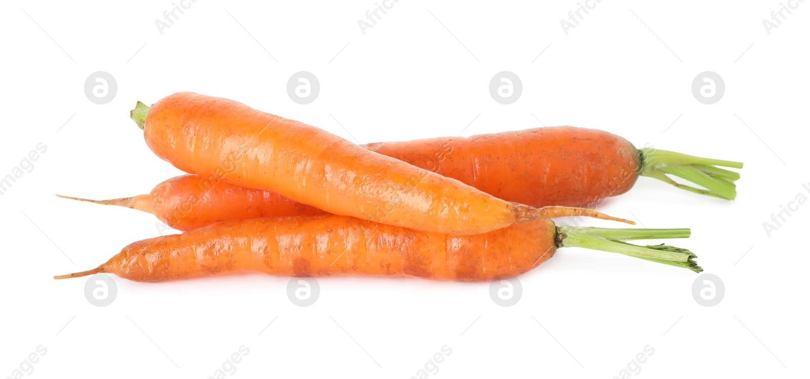 Photo of Fresh carrots isolated on white. Root vegetable