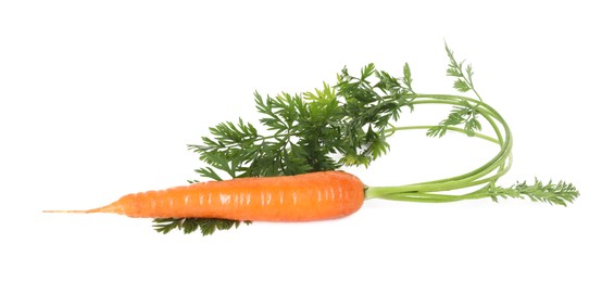 Photo of One fresh carrot isolated on white. Root vegetable