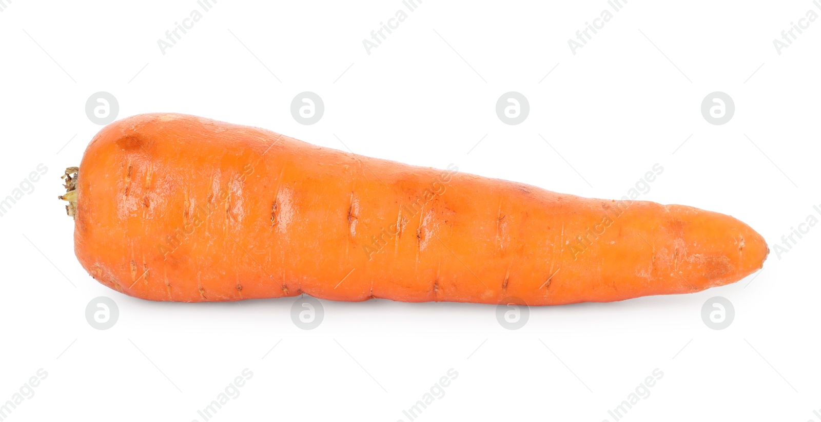 Photo of One fresh carrot isolated on white. Root vegetable