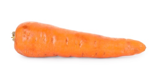 Photo of One fresh carrot isolated on white. Root vegetable