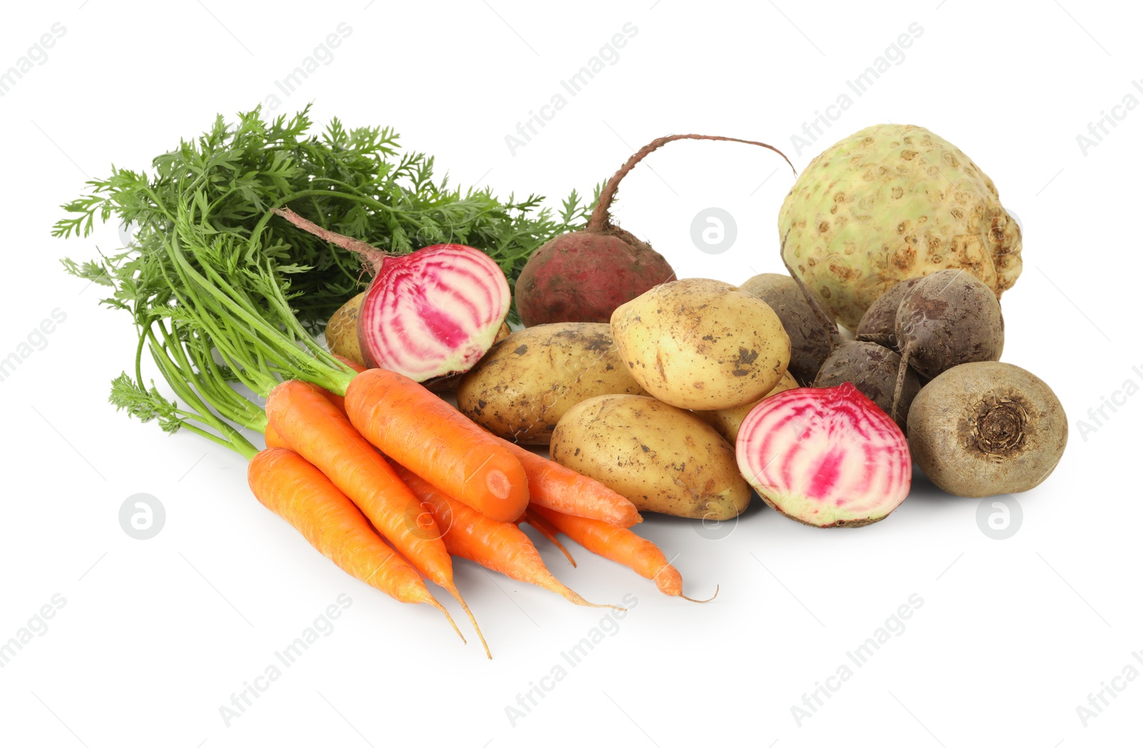 Photo of Many different root vegetables isolated on white