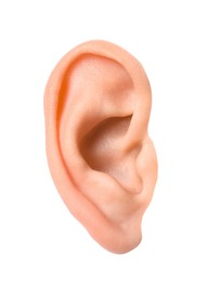 Photo of Woman on white background, closeup of ear