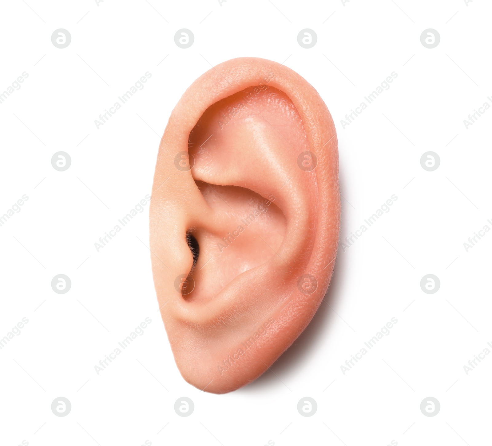 Photo of Woman on white background, closeup of ear