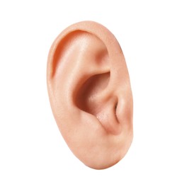 Photo of Woman on white background, closeup of ear