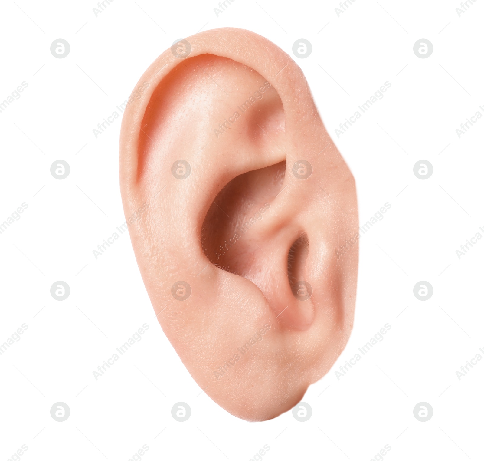 Photo of Woman on white background, closeup of ear