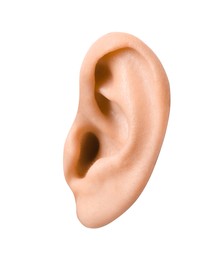 Photo of Woman on white background, closeup of ear