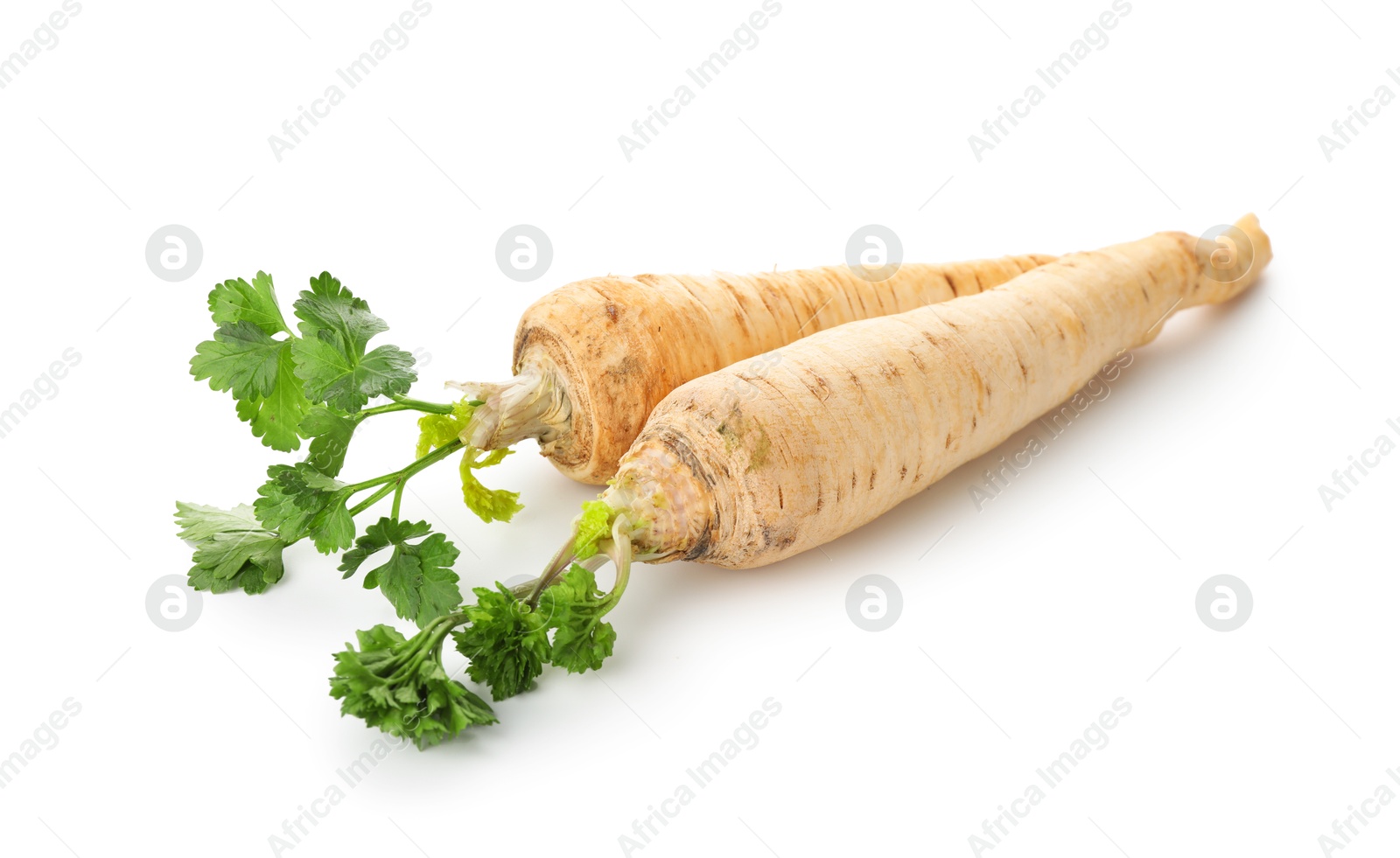 Photo of Two fresh parsley roots isolated on white