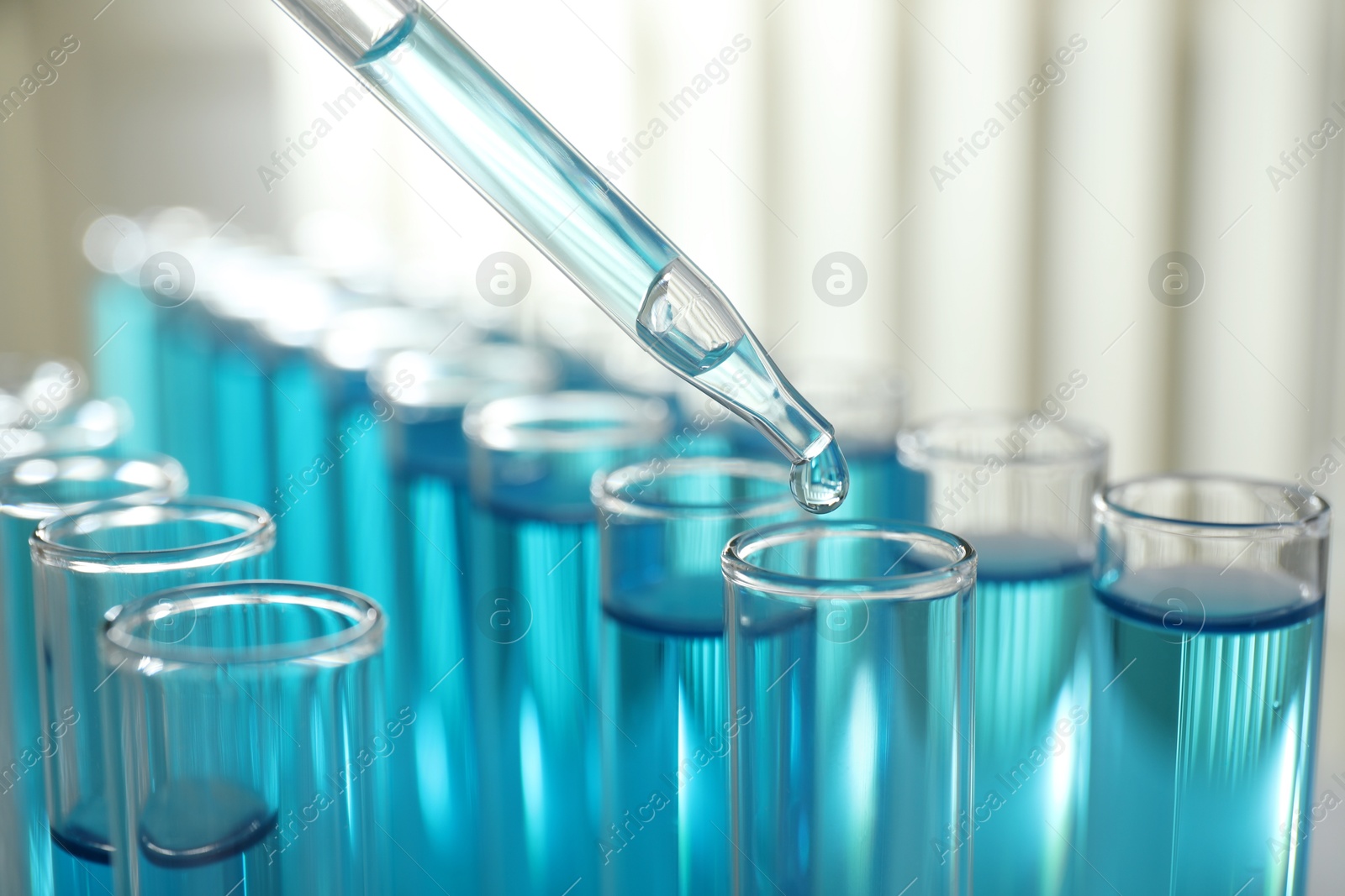 Photo of Dripping liquid into test tubes on light background, closeup