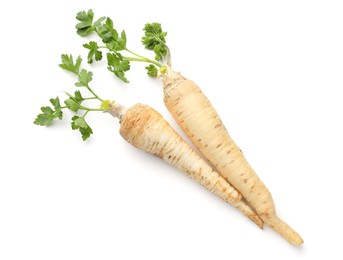 Photo of Two fresh parsley roots isolated on white, top view