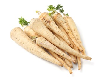 Photo of Many fresh parsley roots isolated on white