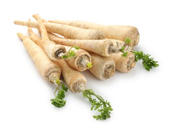 Photo of Many fresh parsley roots isolated on white