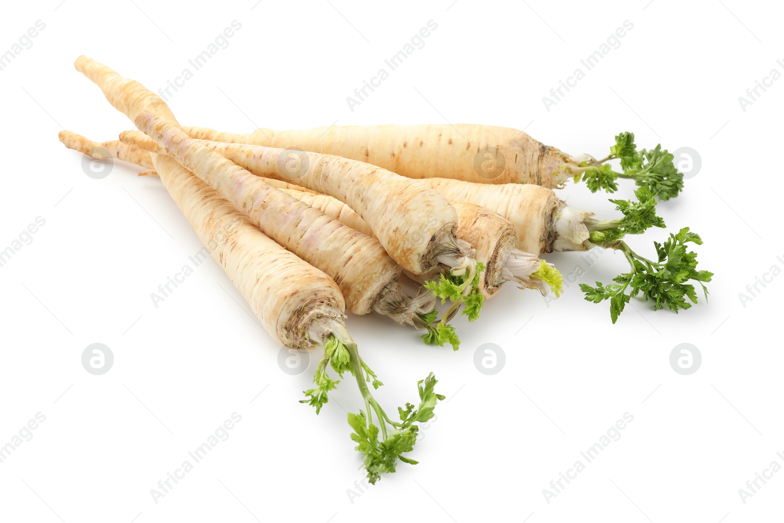 Photo of Many fresh parsley roots isolated on white