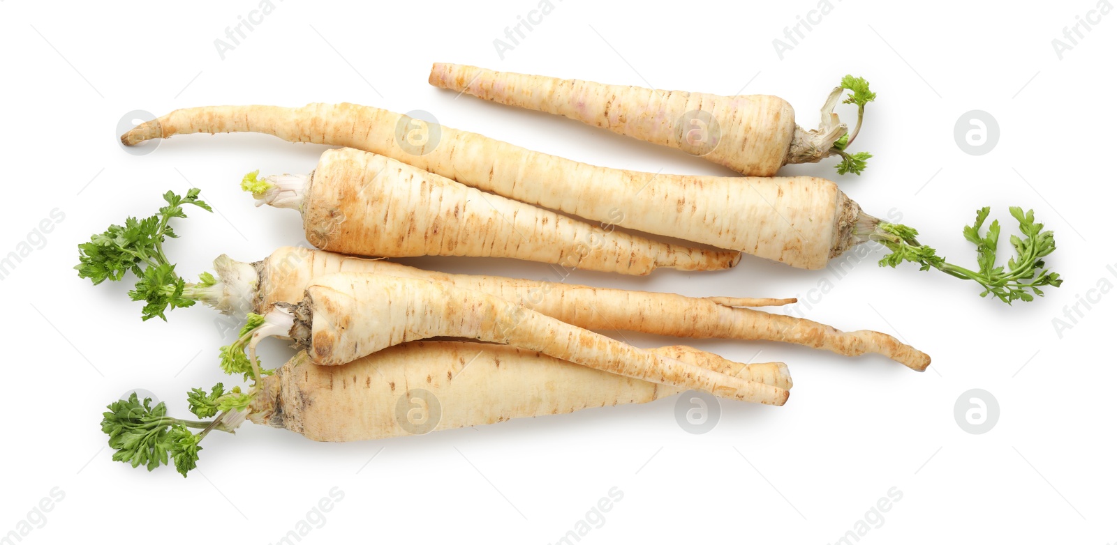 Photo of Many fresh parsley roots isolated on white, top view