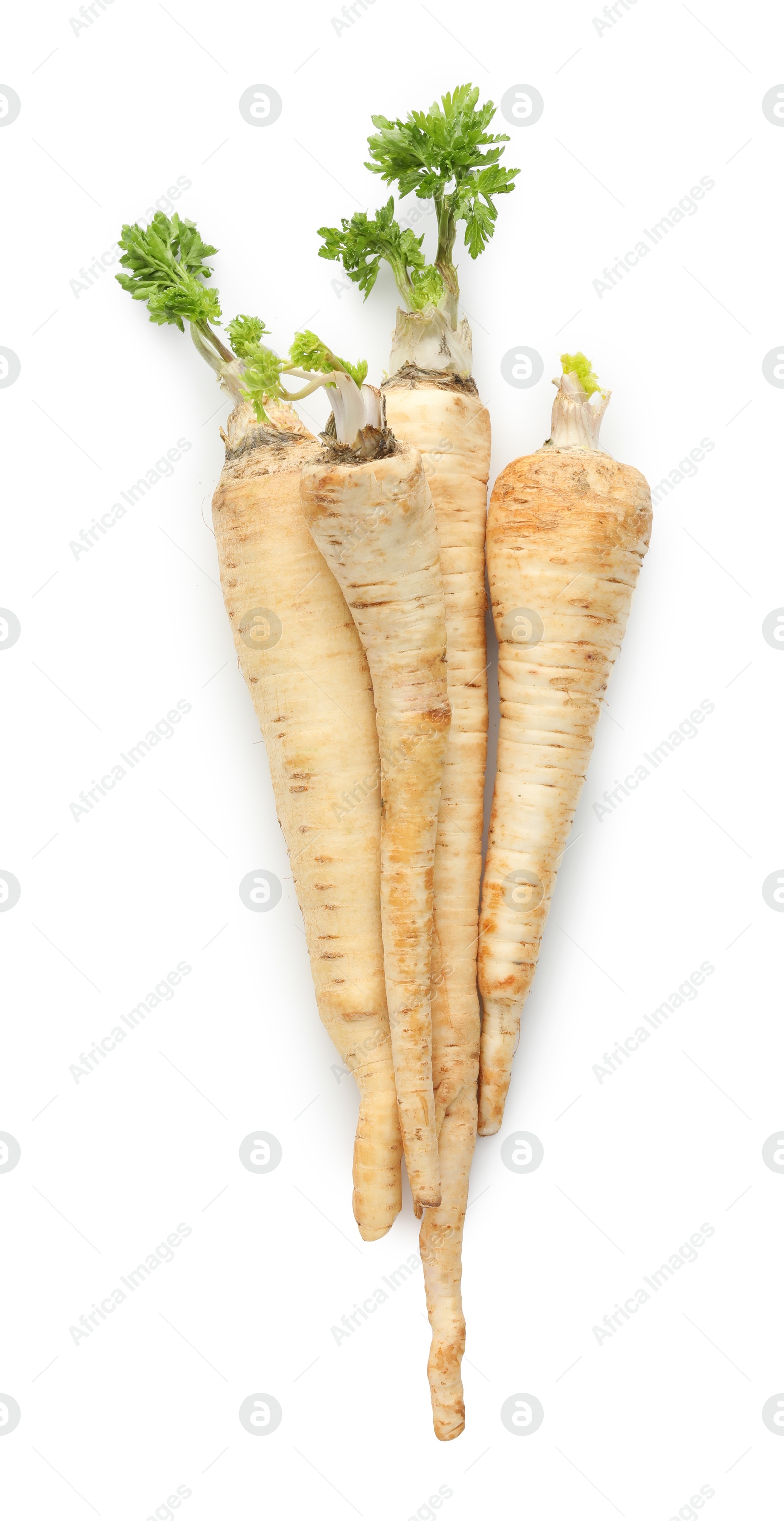 Photo of Many fresh parsley roots isolated on white, top view