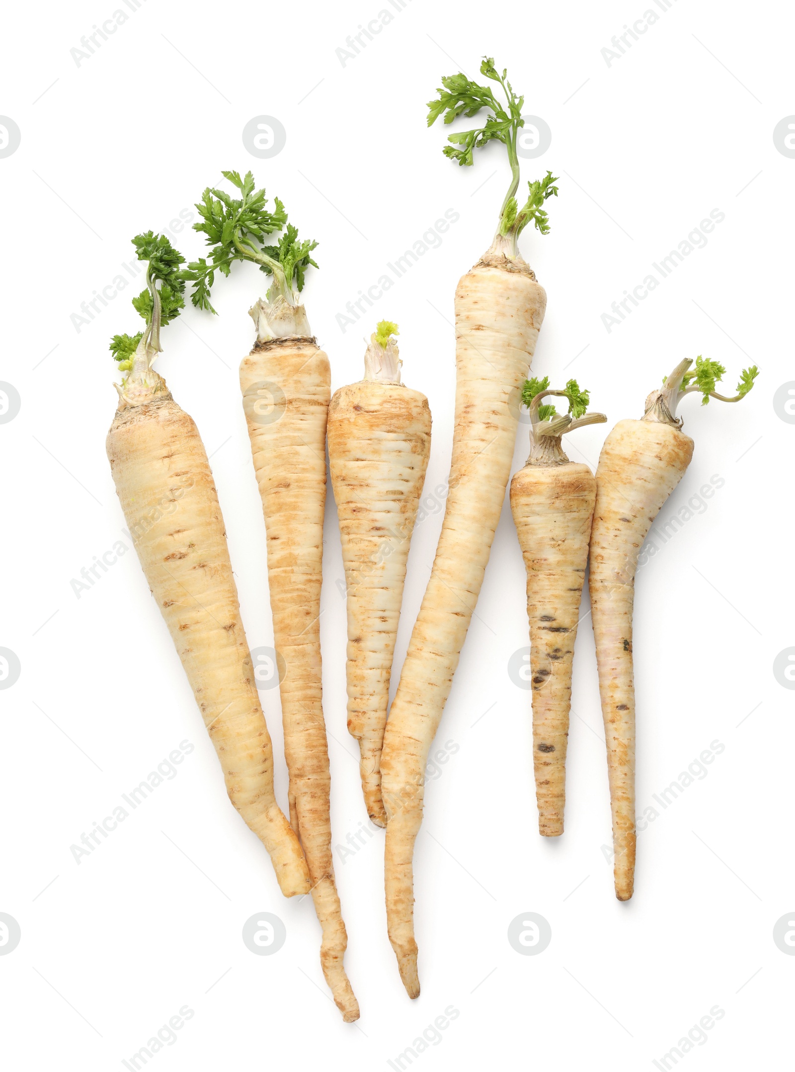 Photo of Many fresh parsley roots isolated on white, top view