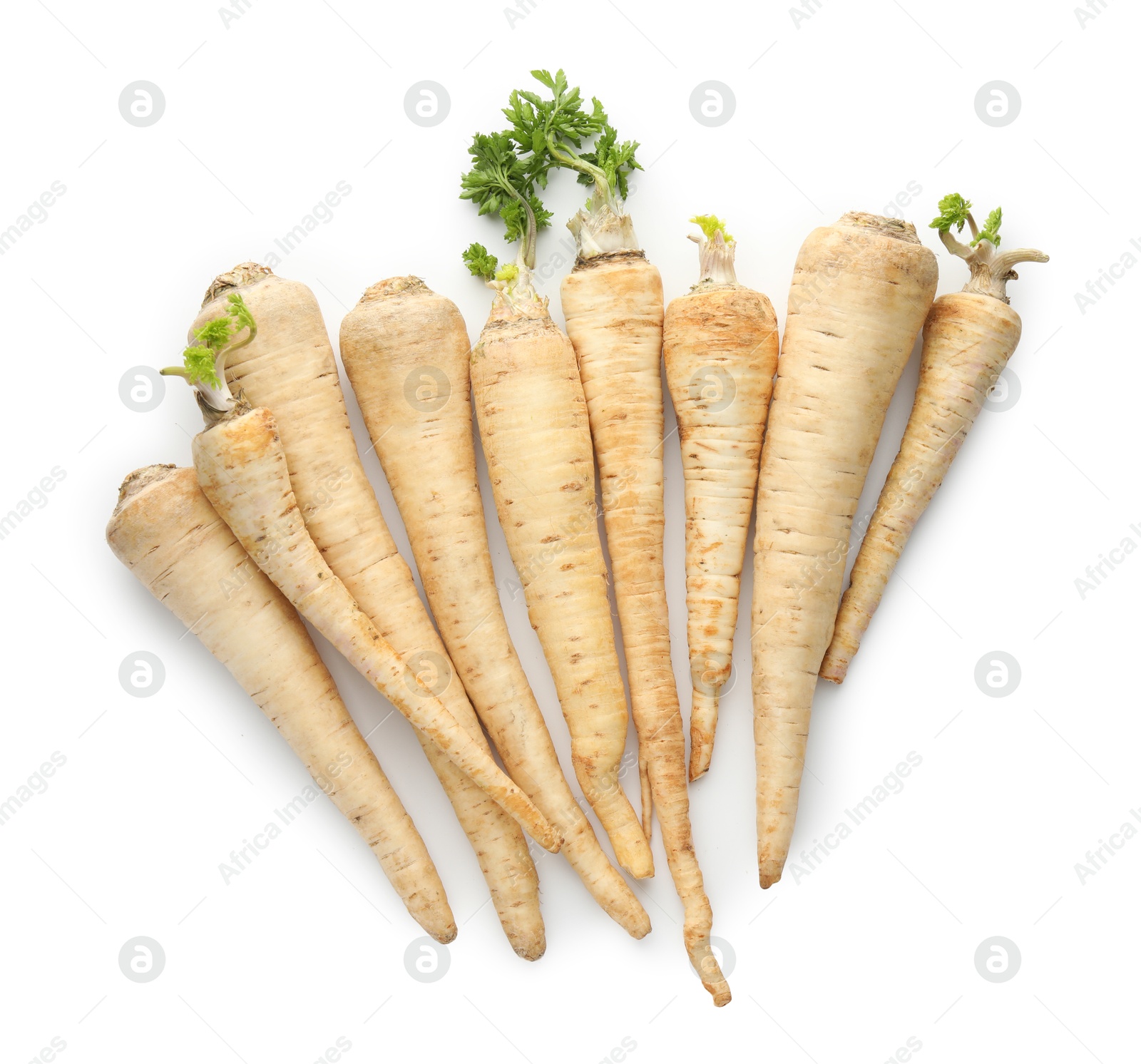 Photo of Many fresh parsley roots isolated on white, top view