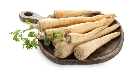 Photo of Many fresh parsley roots isolated on white