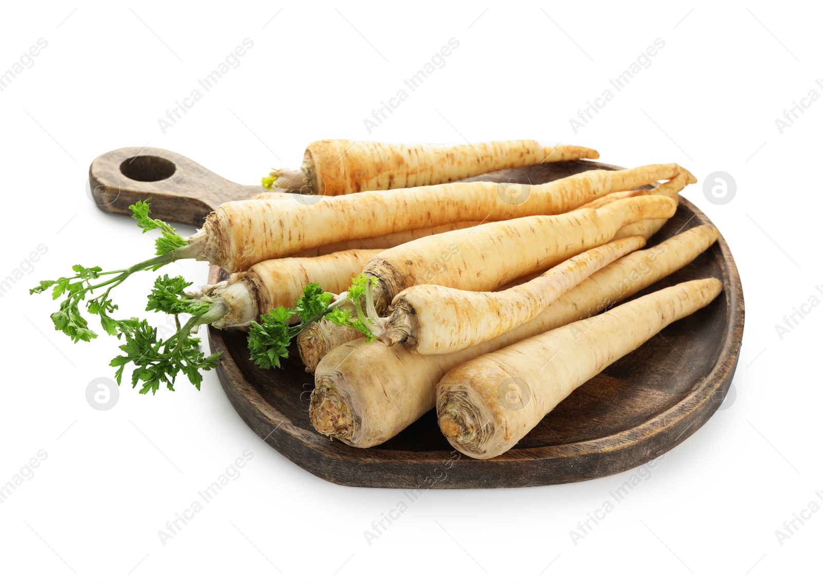 Photo of Many fresh parsley roots isolated on white