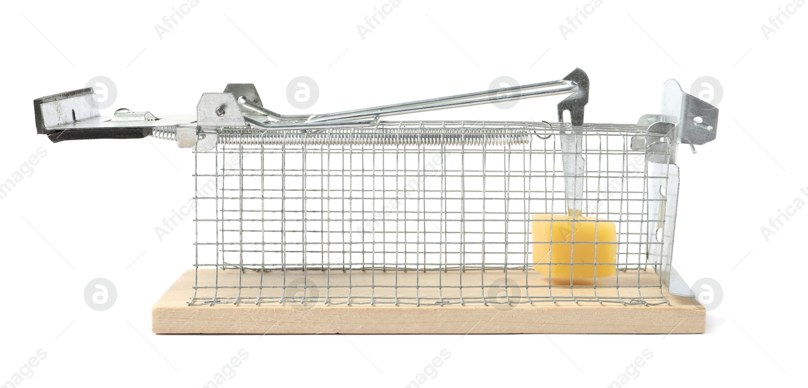 Photo of Mouse trap with cheese isolated on white