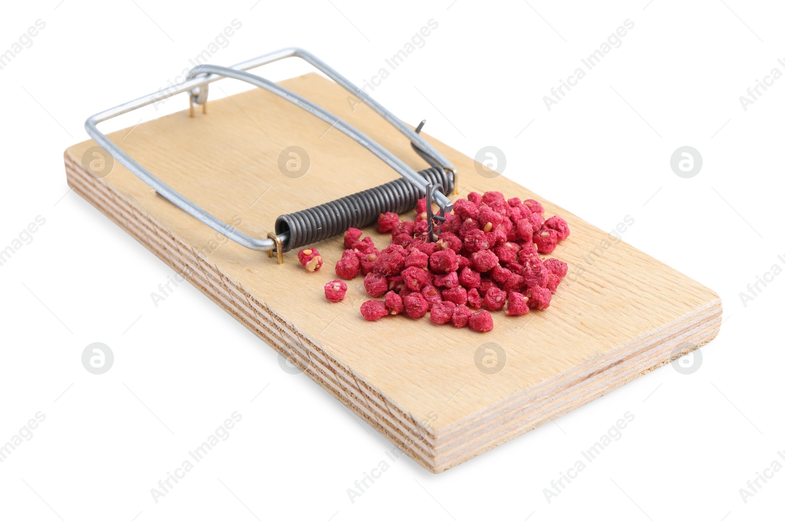 Photo of Mouse trap with rat poison isolated on white