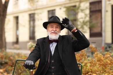 Elegant bearded man with walking cane on bench in park