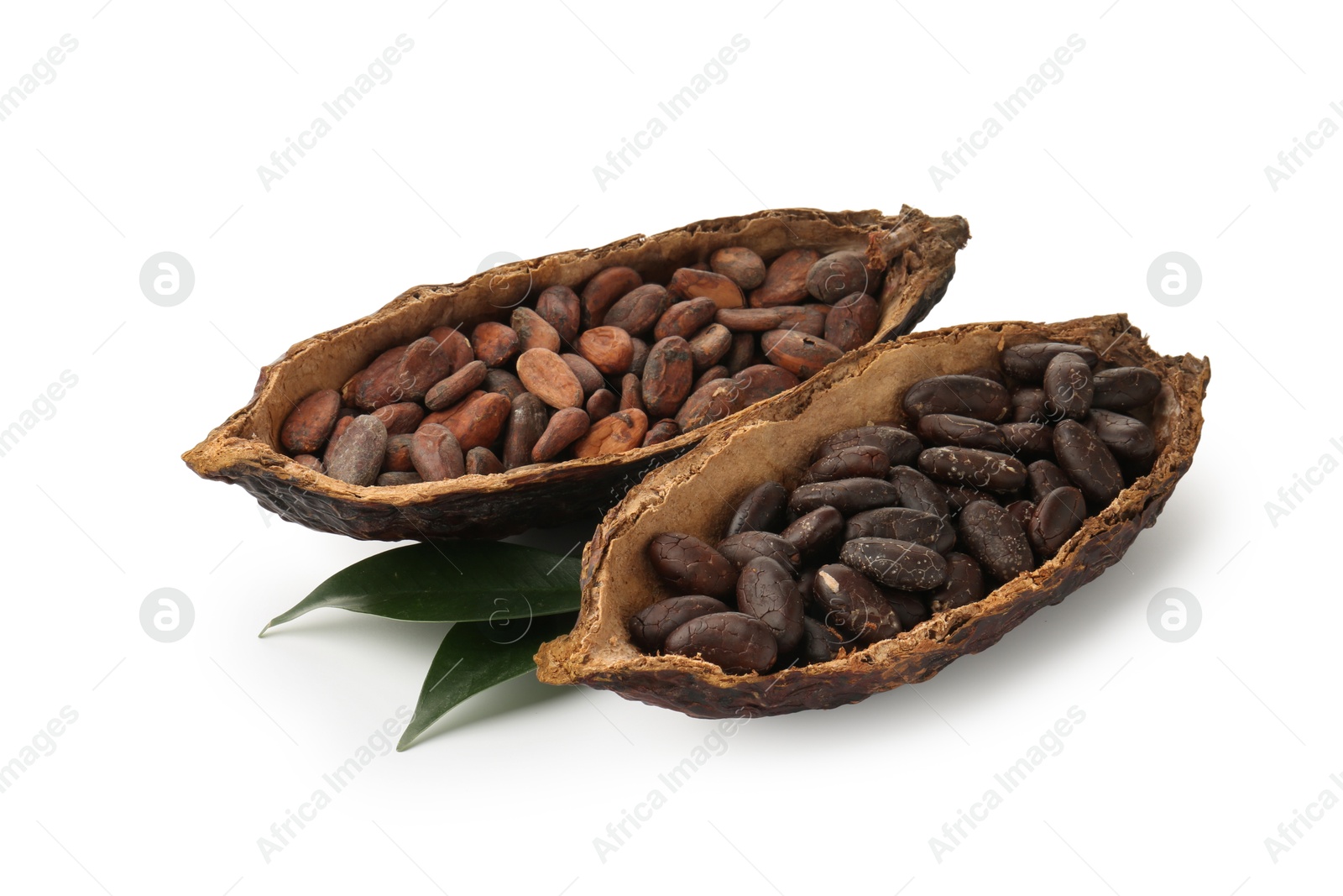Cocoa pods with beans and leaves isolated on white Photo of Cocoa pods with beans and leaves isolated on white