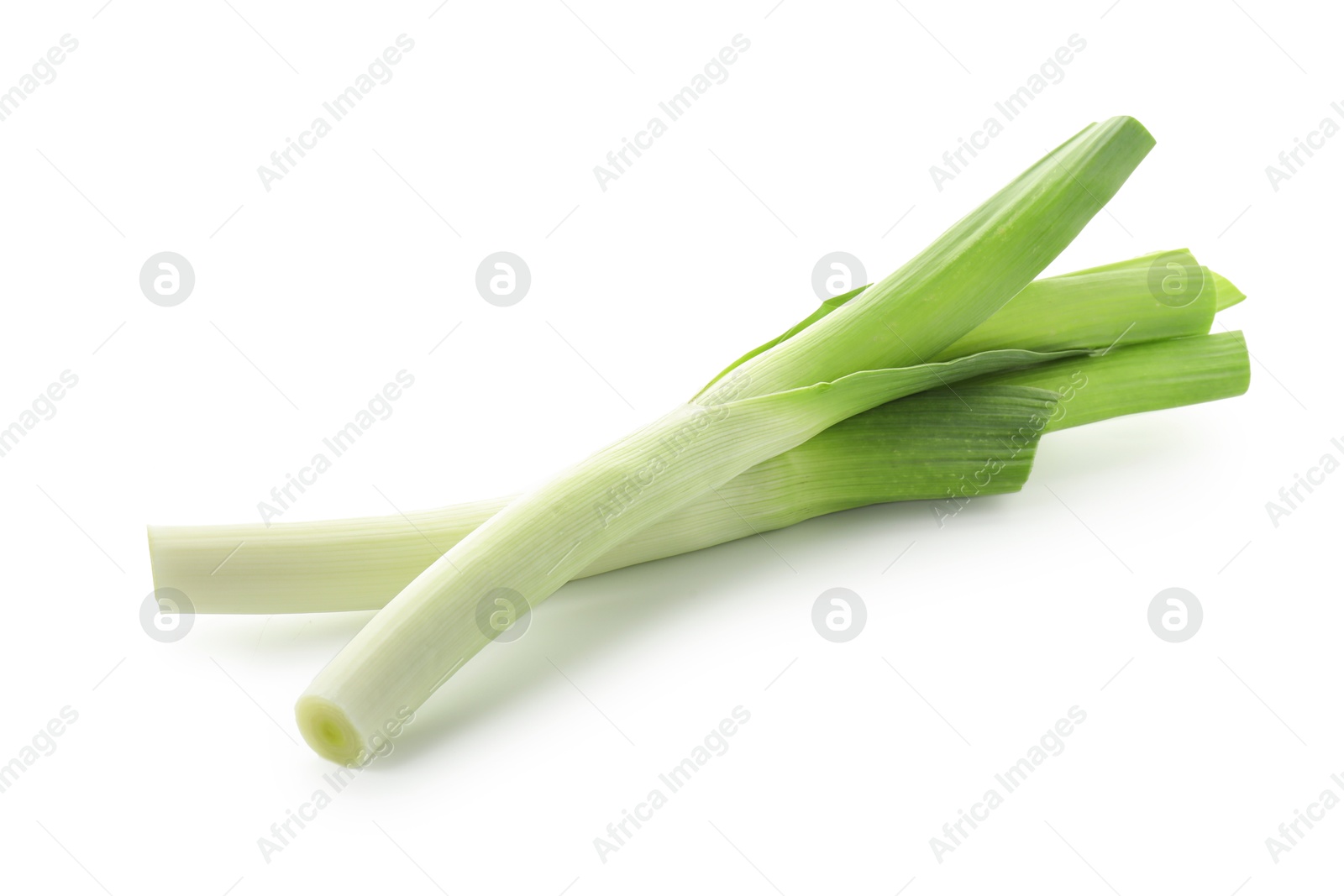 Photo of Fresh leeks isolated on white. Spicy vegetable