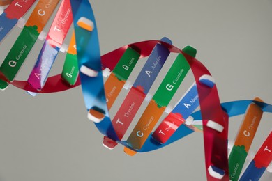 Photo of DNA structure model on light grey background, closeup