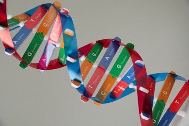 Photo of DNA structure model on light grey background, closeup