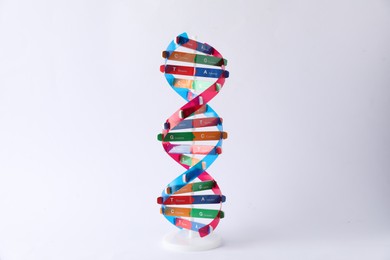 Photo of One DNA structure model on light background