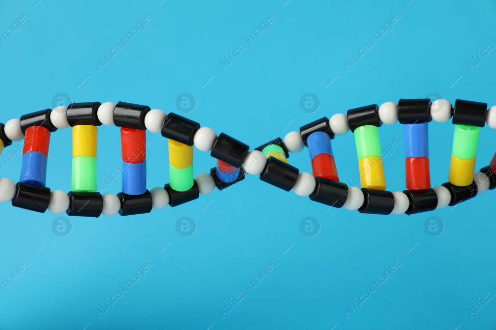 Photo of DNA structure model on light blue background, closeup