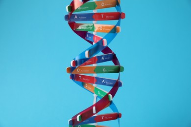 Photo of DNA structure model on light blue background, closeup