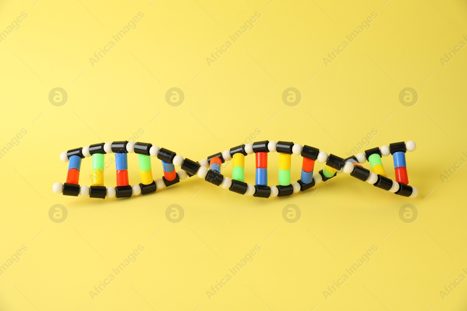 Photo of One DNA structure model on yellow background