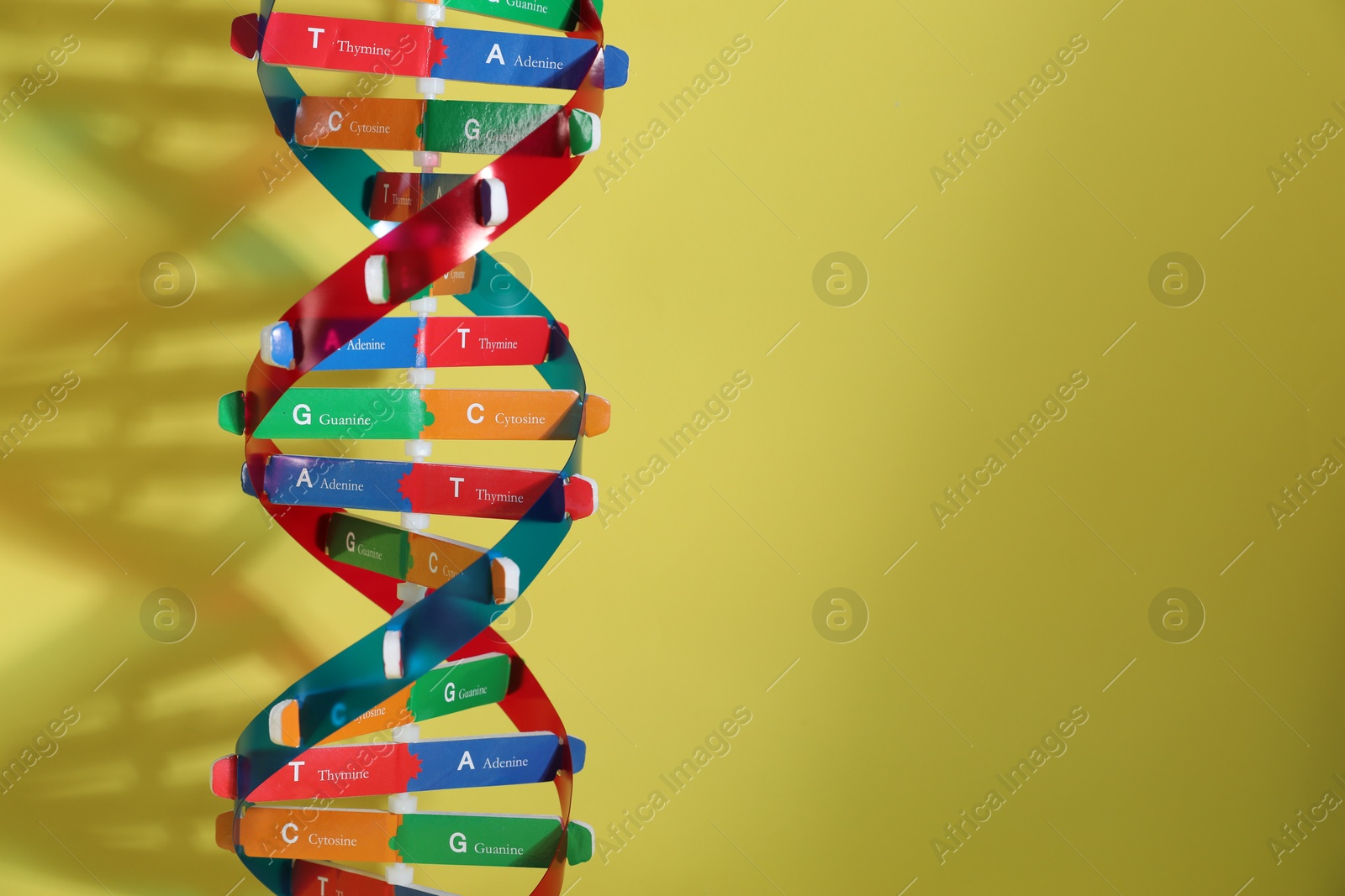 Photo of DNA structure model on yellow background, space for text