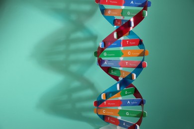 Photo of DNA structure model on turquoise background, space for text