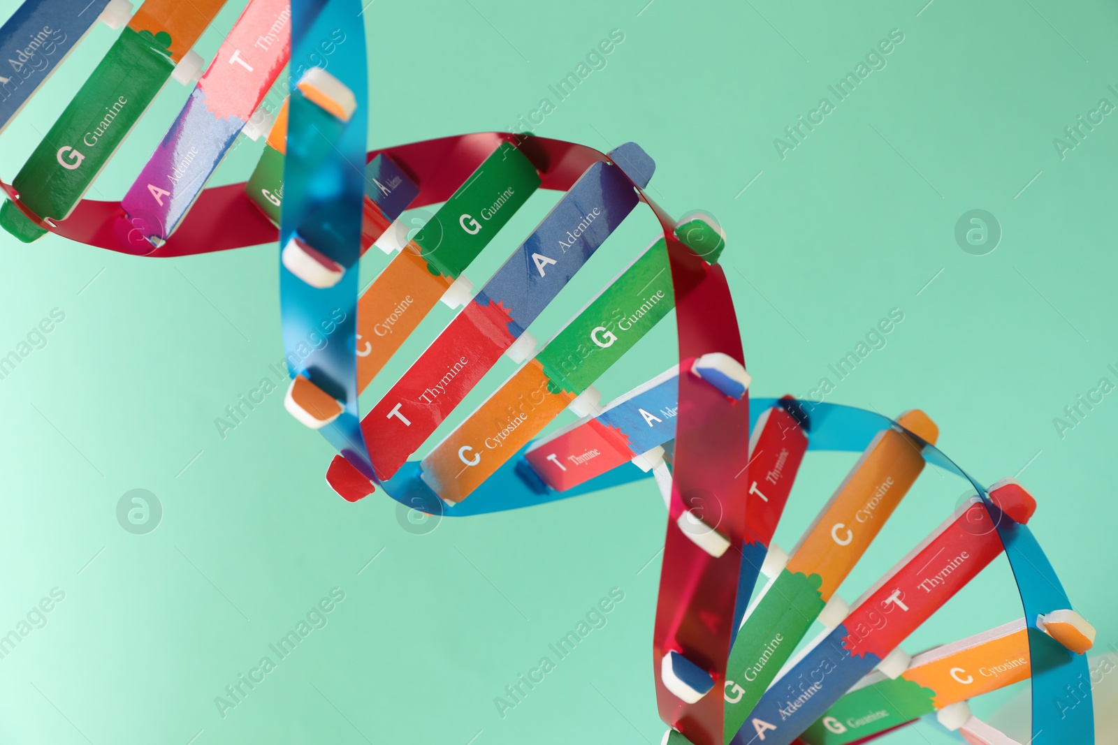 Photo of DNA structure model on turquoise background, closeup