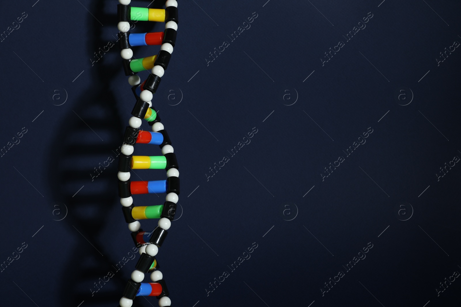 Photo of DNA structure model on dark background, space for text